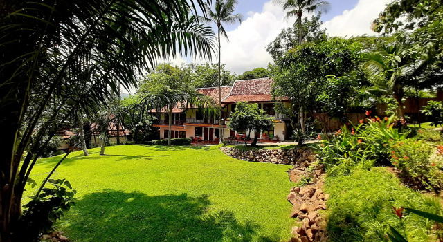 Номер Standard Alpha Gay Resort & Spa - Men Only