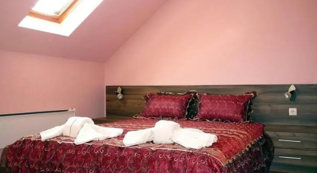 Полулюкс Tzvetelina Palace Hotel