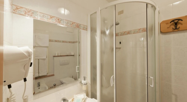 Двухместный номер Standard с балконом Cesa Edelweiss Living & Spa