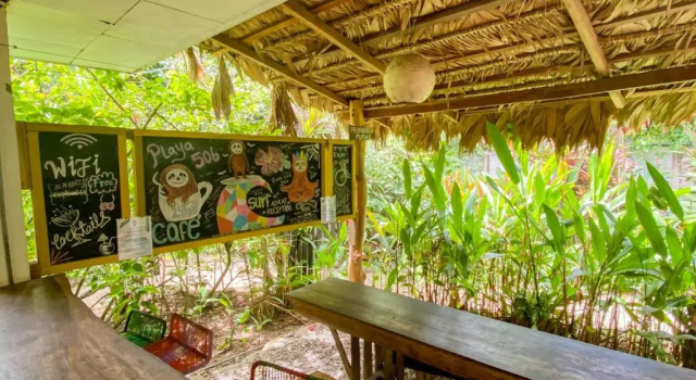 Кровать в общем номере (женский номер) Playa 506 Beachfront Hostel