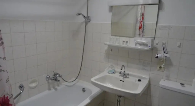 Двухместный номер Standard Hotel Winterberg Resort