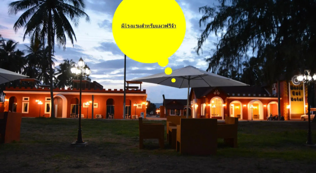 Номер Standard World Cat Beach & Resort เวิลด์แคท บีช แอนด์ รีสอร์ท