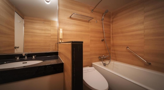 Двухместный номер Deluxe Air Terminal Hotel