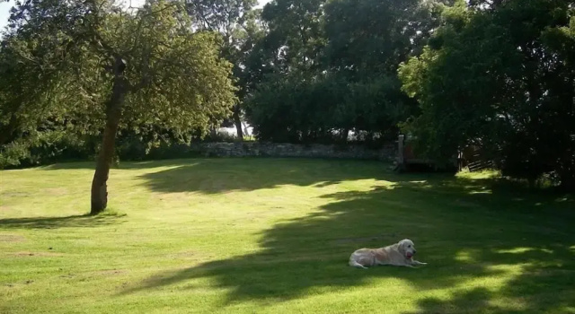 Coombe Orchard, Забронировать Дом для отпуска Суонидж Jurassic Coast