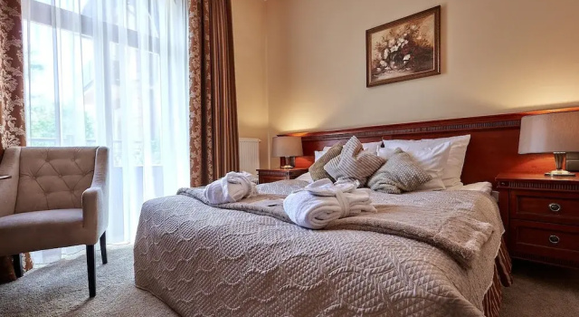 Одноместный номер Standard Grand Hotel Stamary