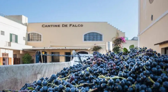 Apartment Il Giardino Divino