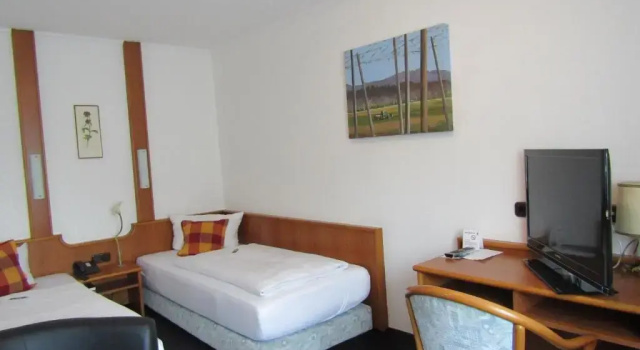 Трёхместный номер Standard Hotel und Gasthof Ritter St. Georg