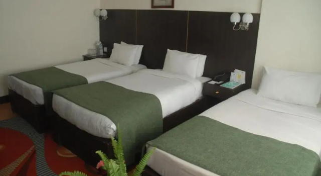 Номер Deluxe Hotel Vaishali