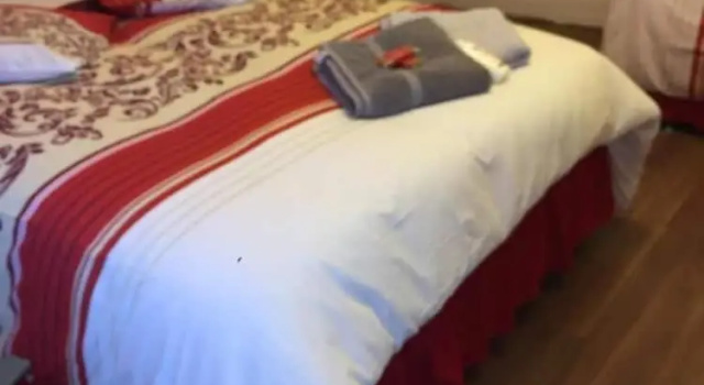Трёхместный номер Standard Nights Inn