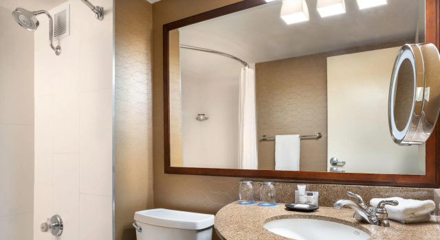 Двухместный номер Standard Wyndham Phoenix Airport - Tempe