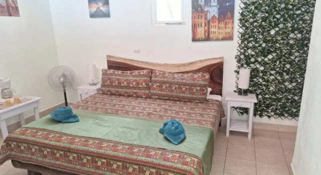 Двухместный номер Deluxe Samara Palm Lodge