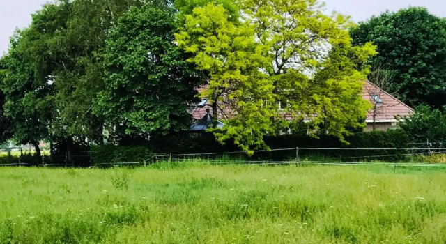 Коттедж Boerderij Zonneveld