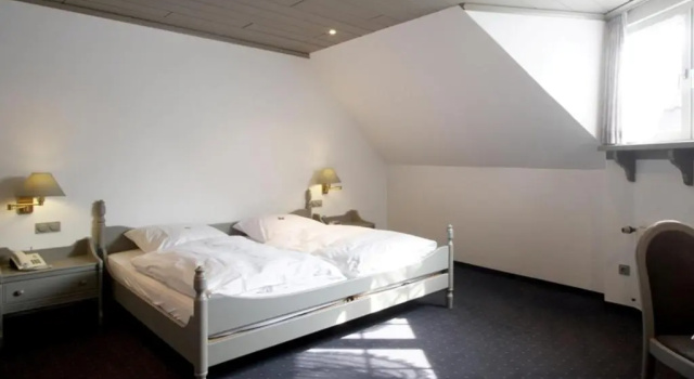 Одноместный номер Standard Hotel Goldener Stern