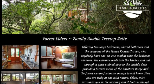 Люкс с 2 комнатами Teniqua Treetops