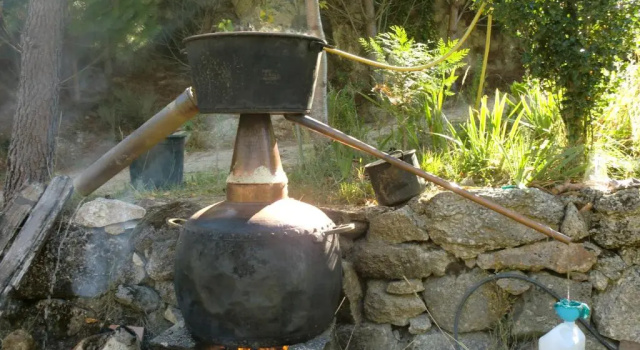 Коттедж Quinta Do Circo - Serra Da Estrela - Turismo Rural