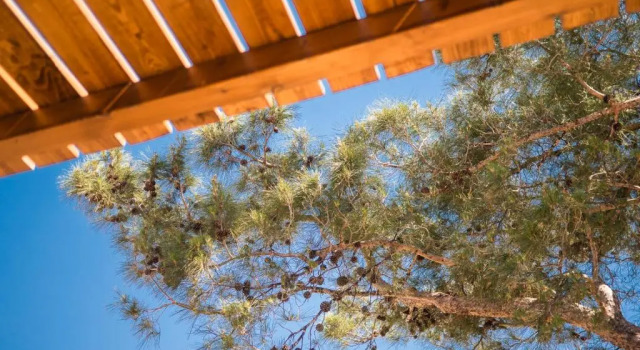 Семейный номер Superior Aiora Resort