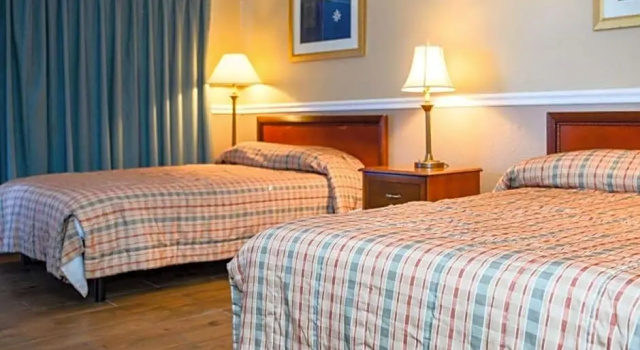 Номер Superior Executive Economy Lodge