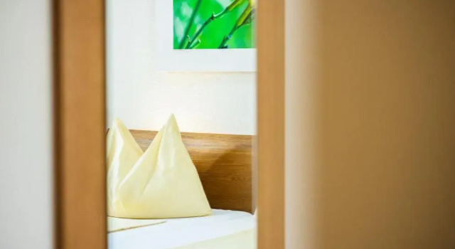 Одноместный номер Standard с видом на сад ODELYA - Stadthotel im Park