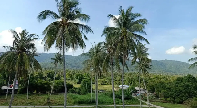 Номер Deluxe с балконом Amarin Samui Hotel - SHA Plus Certified