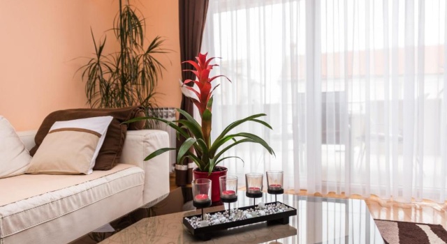 Апартаменты с 3 комнатами Kristina Apartments