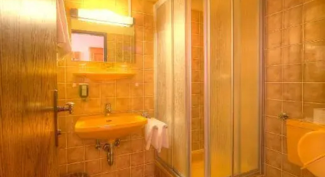 Двухместный номер Standard с балконом Burgenländerhof Hotel Garni