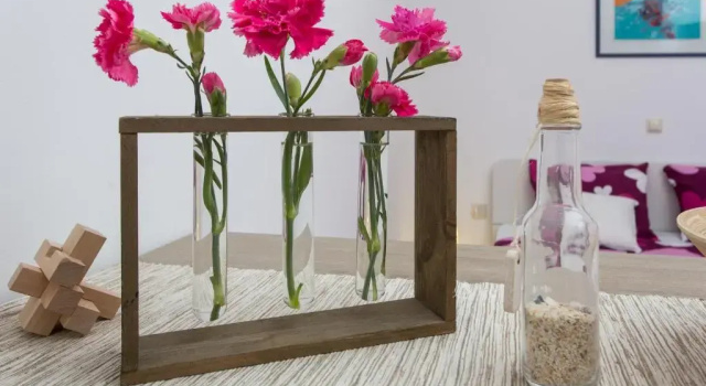 Студия Apartments Banjska