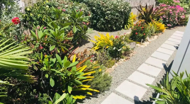 Апартаменты Bellevue Suites