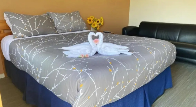 Номер Deluxe Bear's Claw Lodge