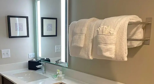Двухместный люкс Holiday Inn & Suites Chicago-Downtown by IHG