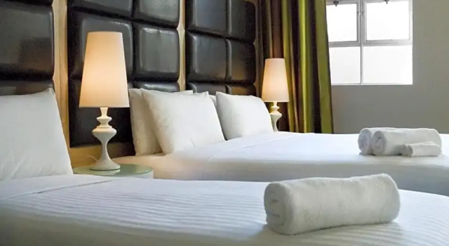 Номер Deluxe 1831 Boutique Hotel