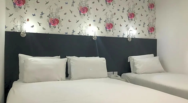 Трёхместный номер Standard Euro Hotel Clapham