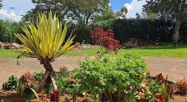 The Yala Home, Rezervasyon Misafirhane Eldoret Uasin Gishu