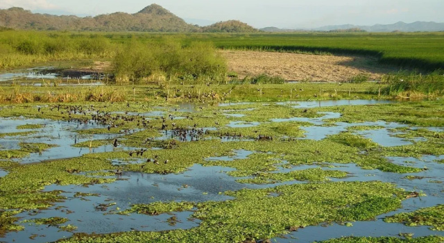 Palo Verde Biological Station, Забронировать Отель Багасес Гуанакасте