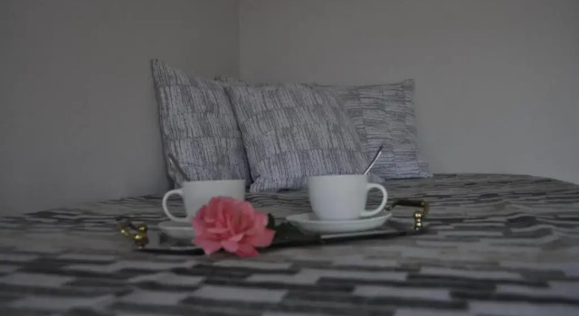 Palm Tree Studio Symi