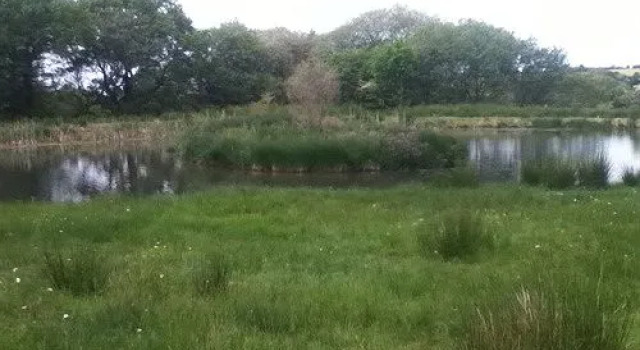 The Swallows Guest House, Забронировать Отель «постель и завтрак» Нью-Ки Ceredigion