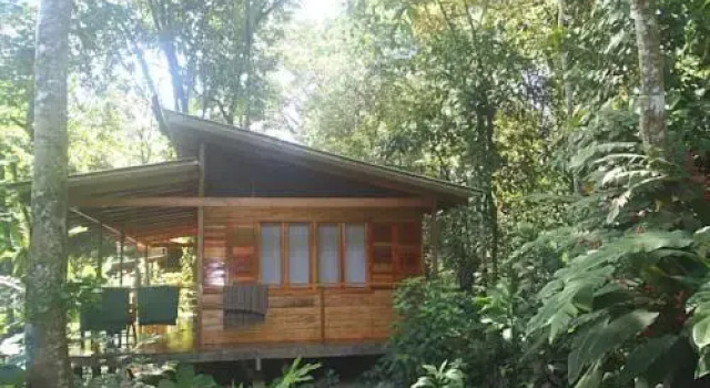 El Tucan Jungle Lodge