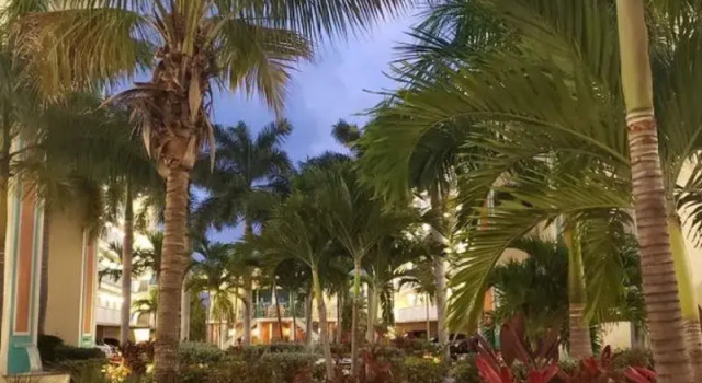 Sunset Vistas Two Bedroom Beachfront Suites