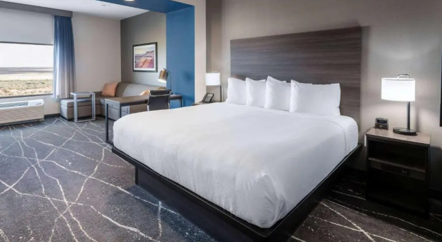 Двухместный номер Deluxe La Quinta Inn & Suites by Wyndham Holbrook Petrified Forest