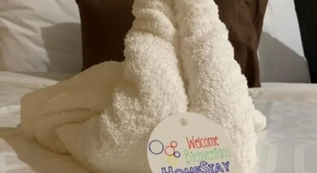 Номер Deluxe HomeStay Inn & Suites Edinburg