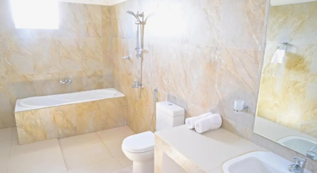Люкс Deluxe Auslink Hotel