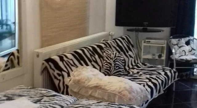 Fehér Hintó
