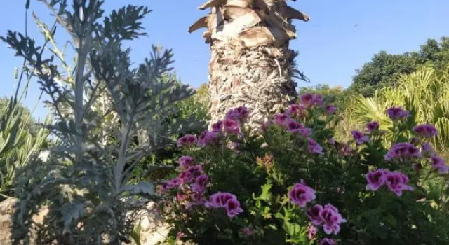 Giardino di Circe, Забронировать Дом для отпуска Виллы Агридженто, Вилла