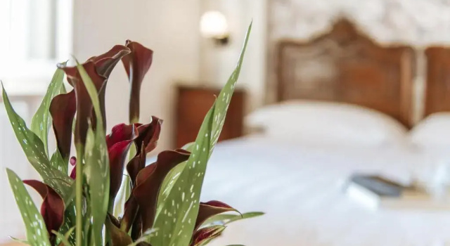 Четырёхместный номер Standard Hotel Aganoor