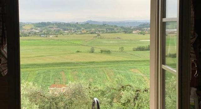 Locazione turistica Casa olivo