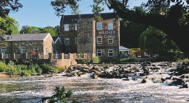 Апартаменты Artist's Riverside Home