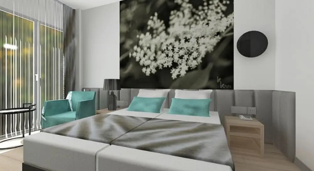 Номер Deluxe Szépia Bio and Art Hotel