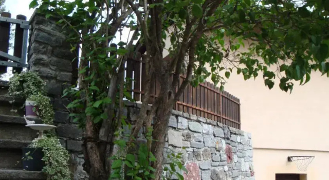 Casa Suliva, Забронировать Апартаменты/квартира Ароза Граубюнден, рядом с Горнолыжный клуб Ароза