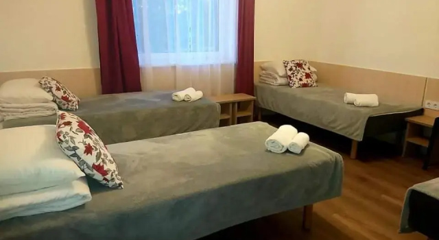 Номер Economy Vila Giruliai