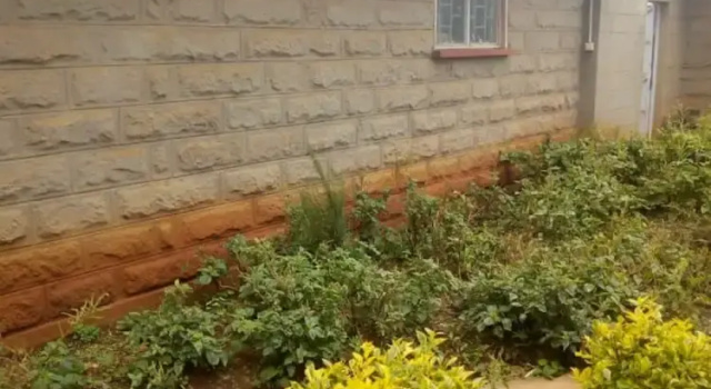 Banana Leaf Hotel, Boek Hotel Othaya Nyeri