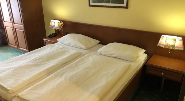Двухместный номер Standard Brandiser Parkhotel